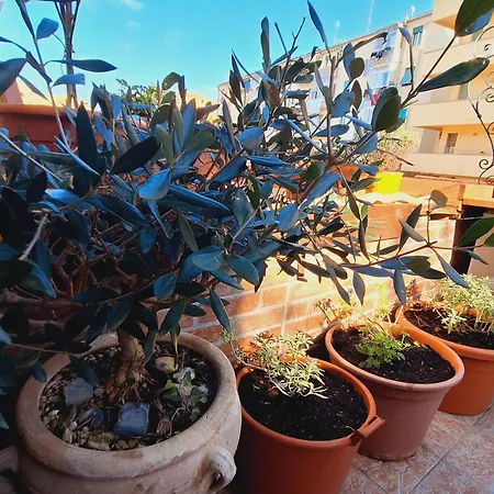 La Casina Lungomare Di Fabi *